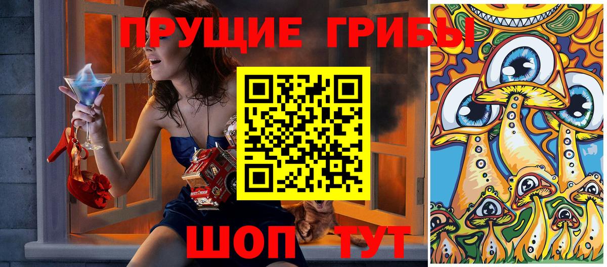 Псилоцибиновые грибы ЛСД Северск