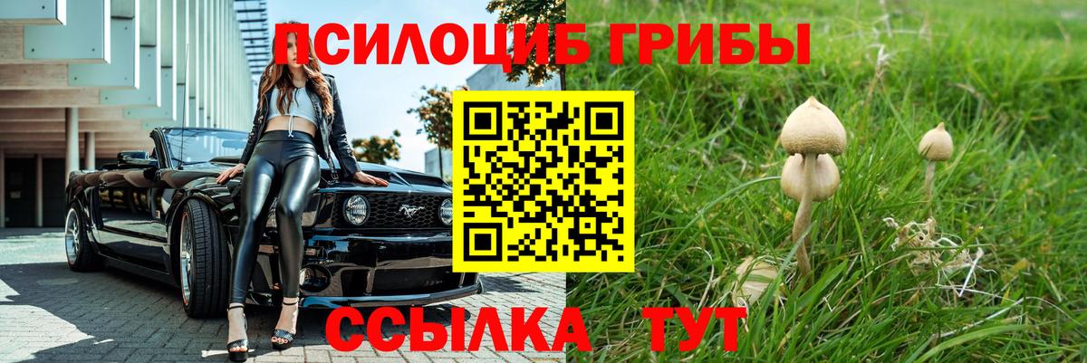 Северск  Галлюциногенные грибы Psilocybine cubensis  Вход с VPN 